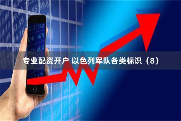 专业配资开户 以色列军队各类标识（8）