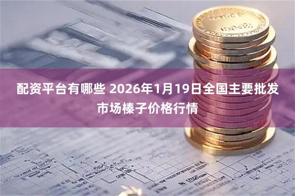 配资平台有哪些 2026年1月19日全国主要批发市场榛子价格行情