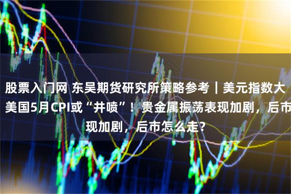 股票入门网 东吴期货研究所策略参考｜美元指数大幅调整，美国5月CPI或“井喷”！贵金属振荡表现加剧，后市怎么走？